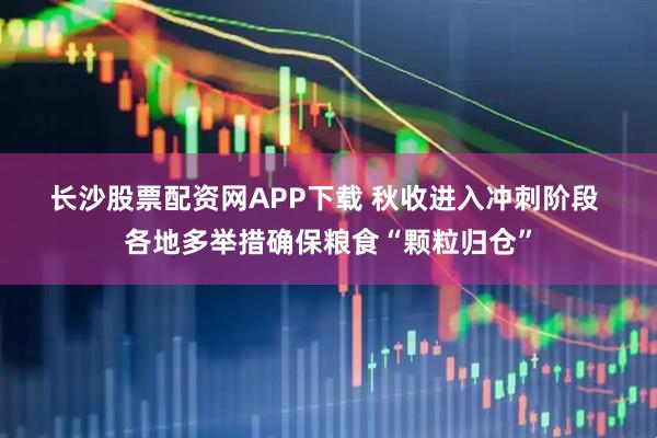 长沙股票配资网APP下载 秋收进入冲刺阶段&#32;各地多举措确保粮食“颗粒归仓”