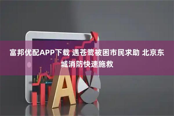 富邦优配APP下载 遇苍鹭被困市民求助 北京东城消防快速施救